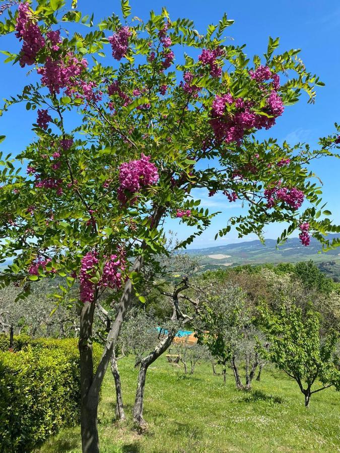 Villa Casa Di Coraggio à Volterra Extérieur photo